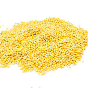 Order whole Yellow Mustard Seed from the Natural Spot