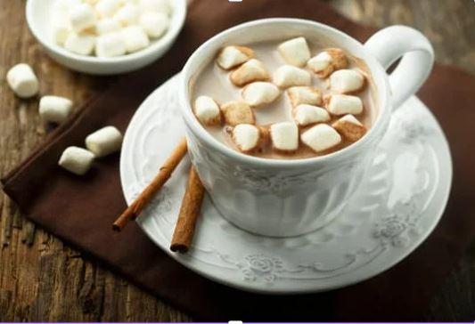 Cocoa is the primary ingredient in hot chocolate