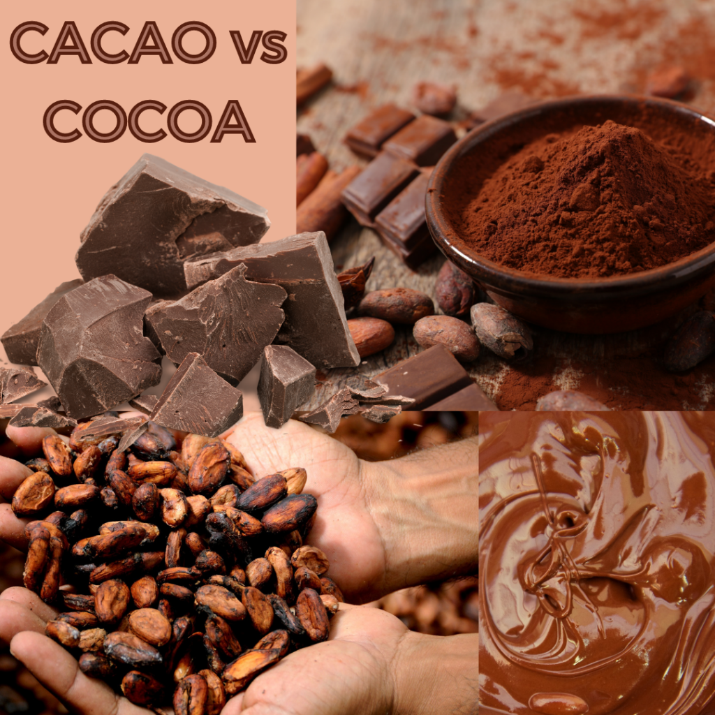 cacao vs cocoa, what is the difference between them?